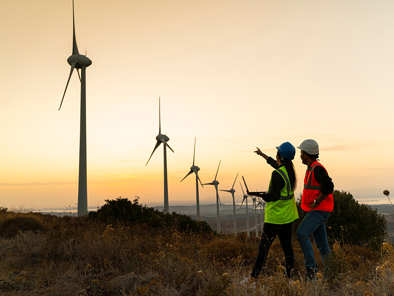 AUS - Environmental and financial exposure@2x