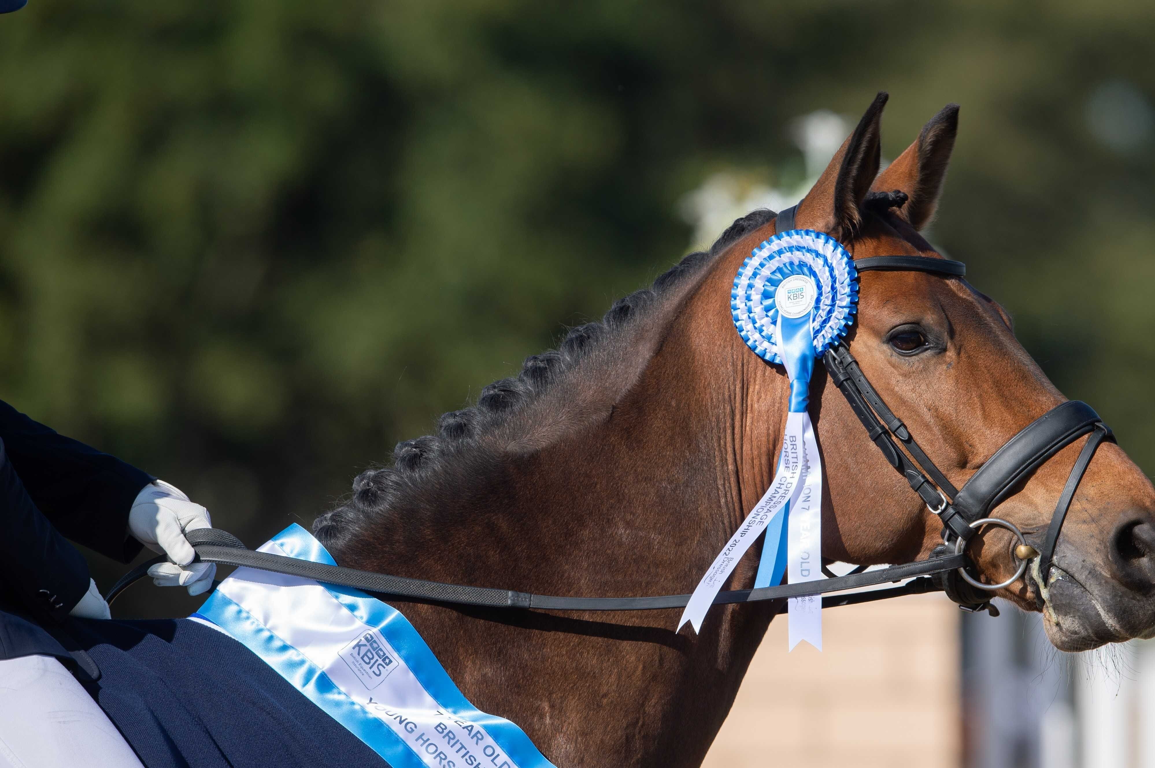 British Dressage National Championships 2022 - Adam Fanthorpe (full rights purchased)2