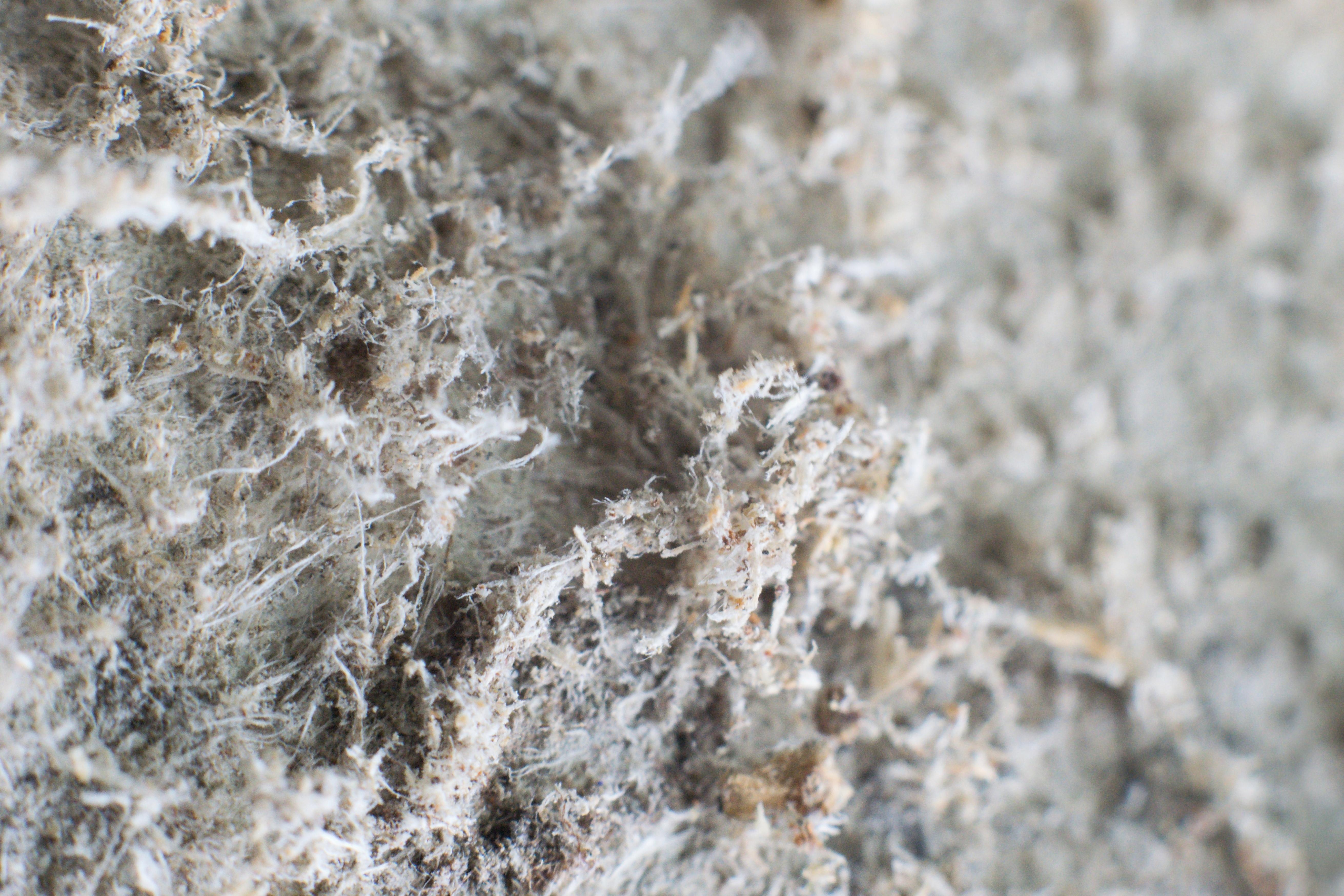 GBS - Asbestos - Environmental Liability
