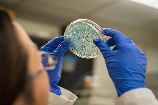AUS - Gene and cell therapy developers@2x