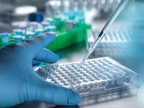 AUS - Scientific and professional services@2x