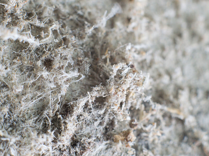 UK - Pollution and environment liability@2x
