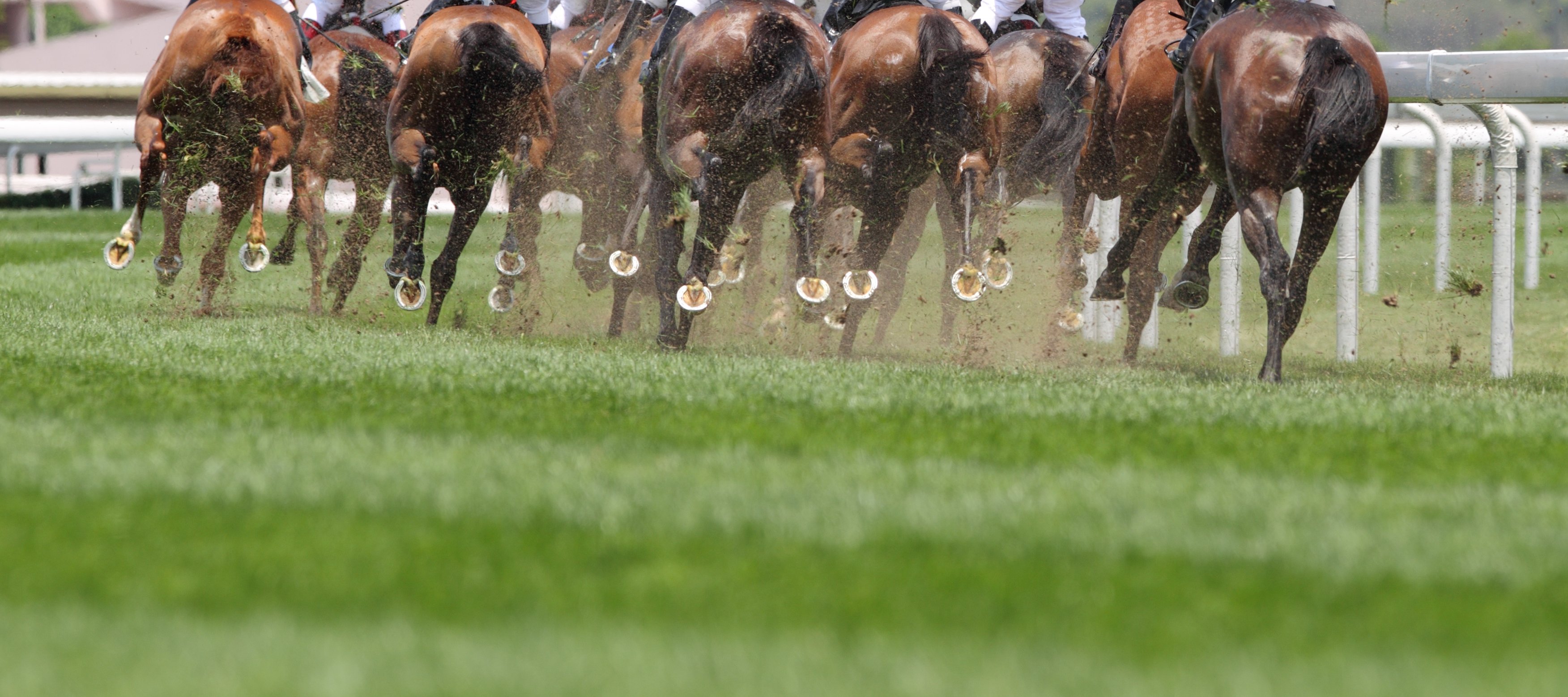 Horse Racing