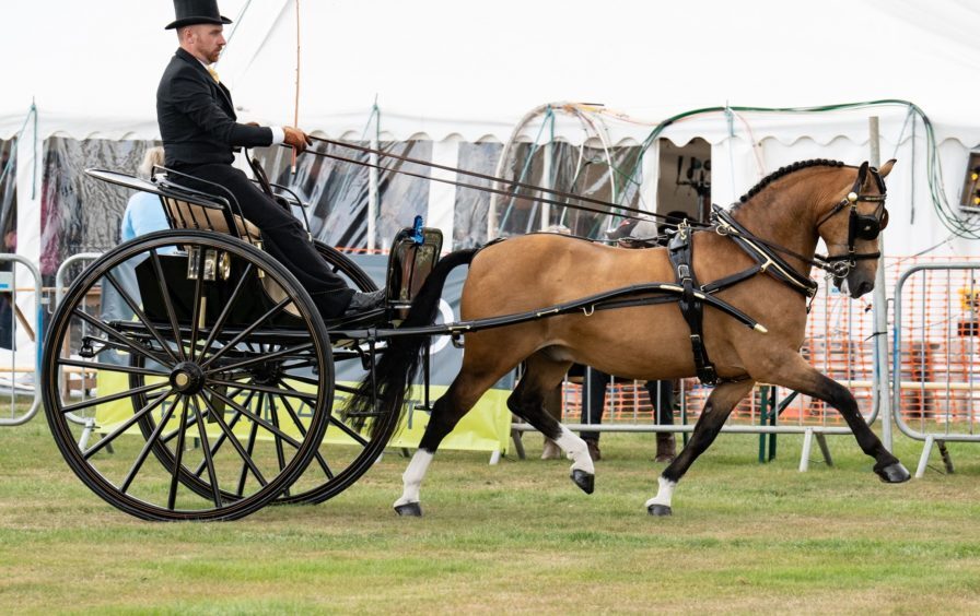 Carriage-imge-896x564
