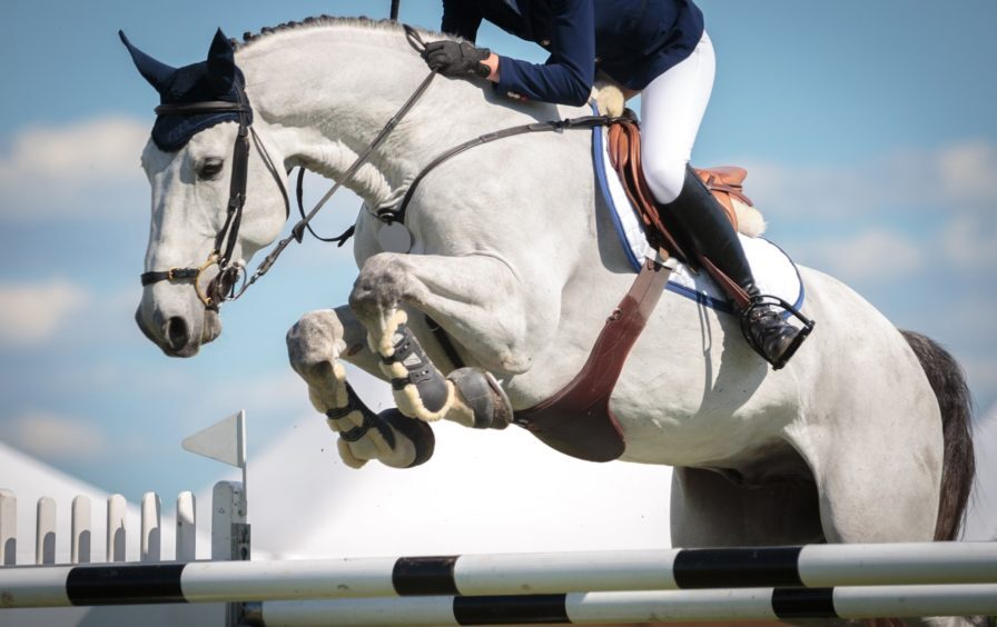 Equine-web2-896x564