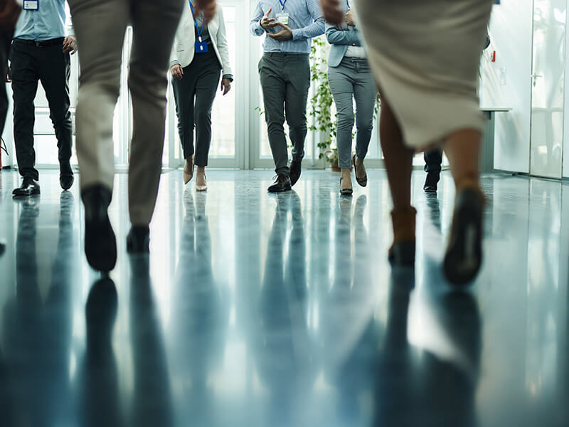 SG - Workforce demographic insight@2x