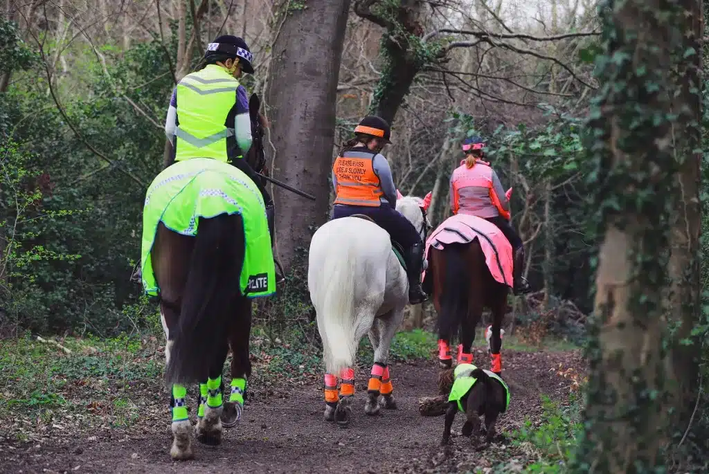 Your Horse and Winter Exercising – is it a good idea?