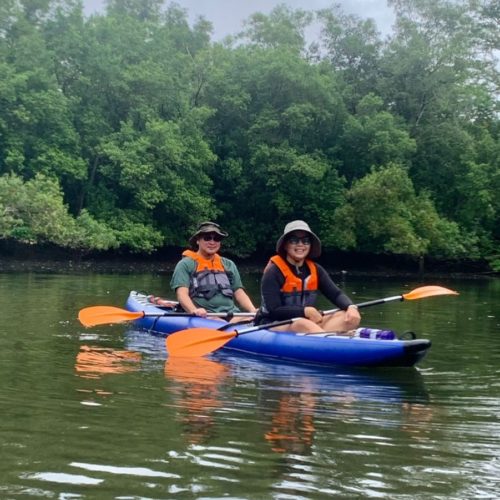 Kayak (Nature)