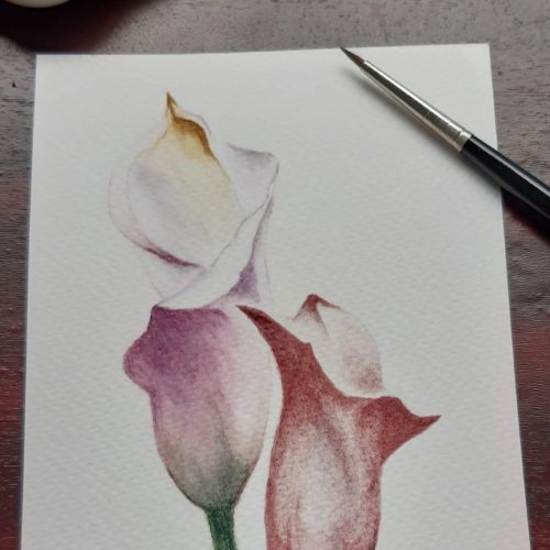 FB_IMG_1758286772528